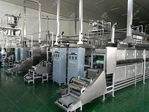 引進一套粉皮加工機器辦廠需要多少錢